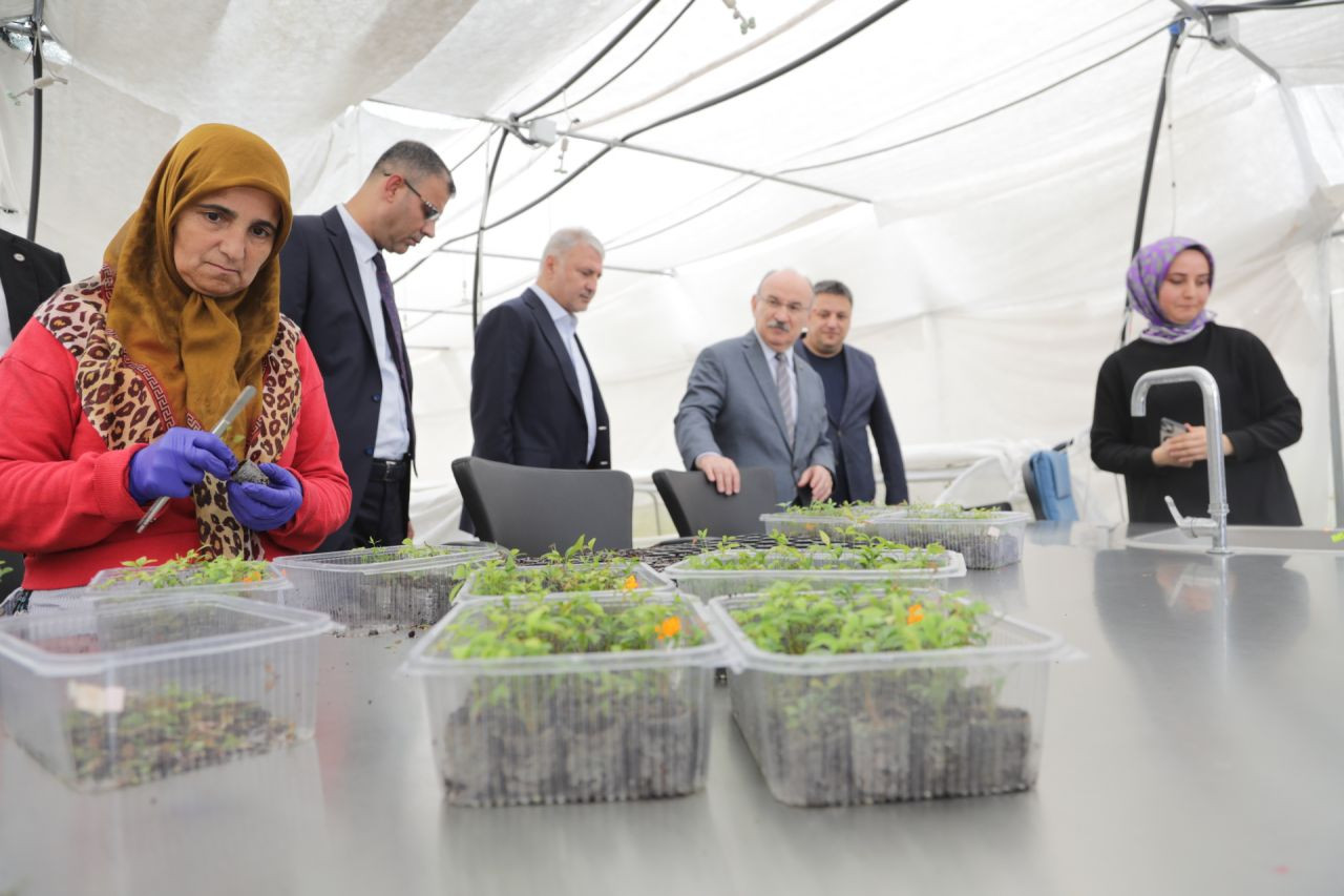 Sakarya Valisi'nden Doku Kültürü Laboratuvarına Övgü: "Tarımsal Üretimde Başarılı Bir Adım" - Sayfa 12