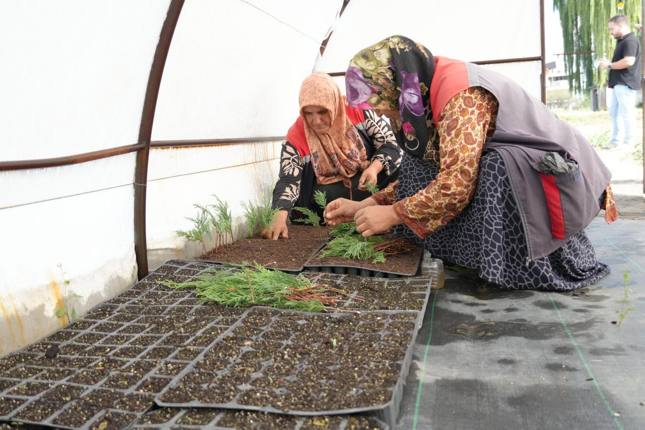 Düzce’de Tarımda Yenilikçi Adımlar: Bitki Köklendirme Serası Kuruldu - Sayfa 4