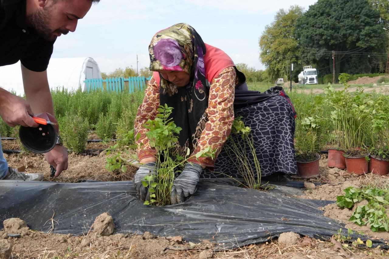 Düzce’de Tarımda Yenilikçi Adımlar: Bitki Köklendirme Serası Kuruldu - Sayfa 6