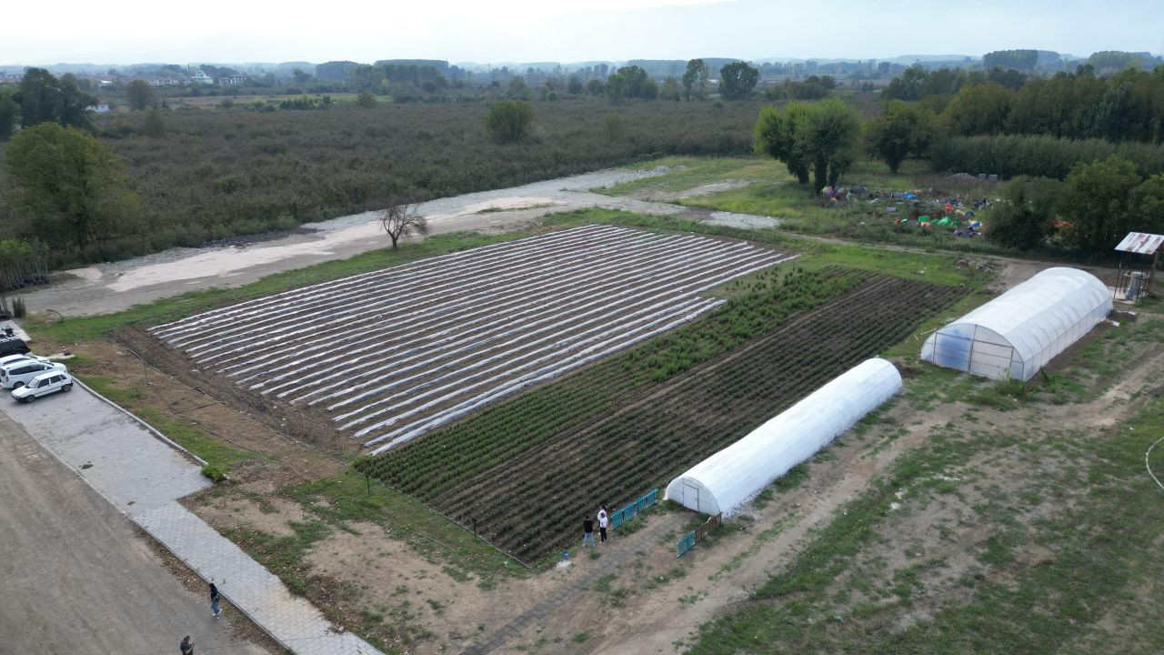 Düzce’de Tarımda Yenilikçi Adımlar: Bitki Köklendirme Serası Kuruldu - Sayfa 1