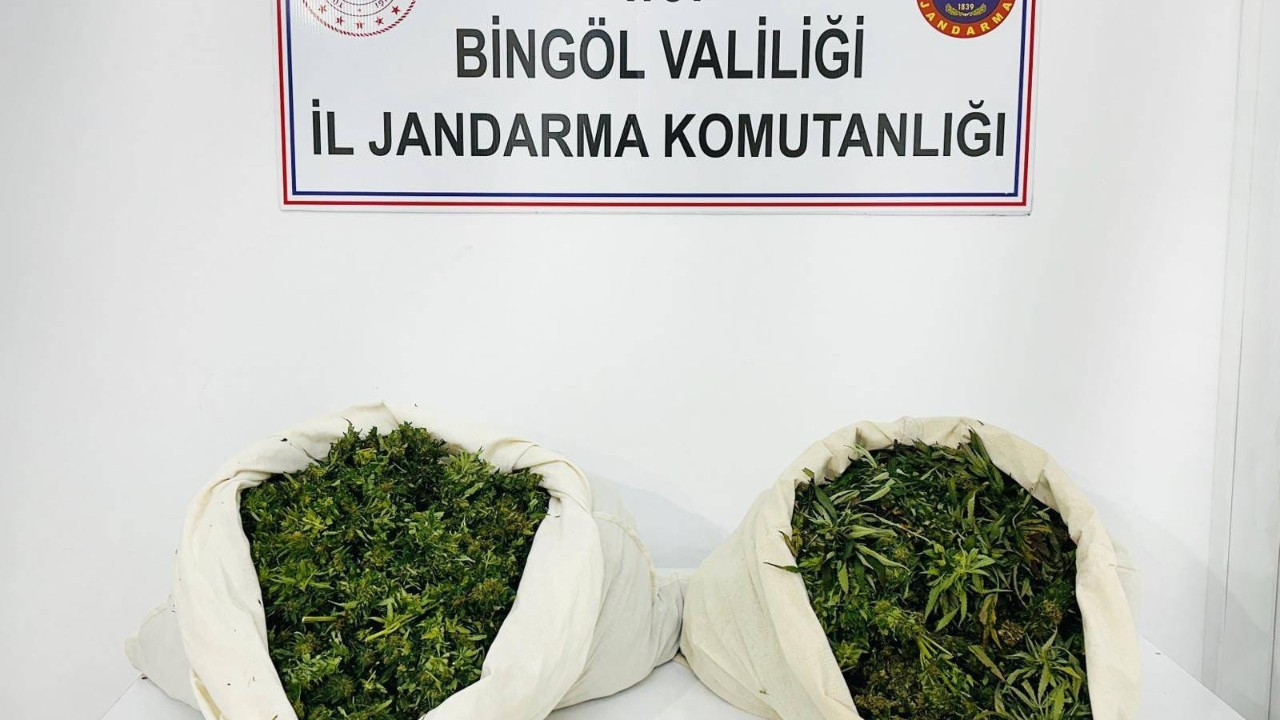 Bingöl'de 3 Bin Kök Kenevir ve 21 Kilo Esrar Ele Geçirildi