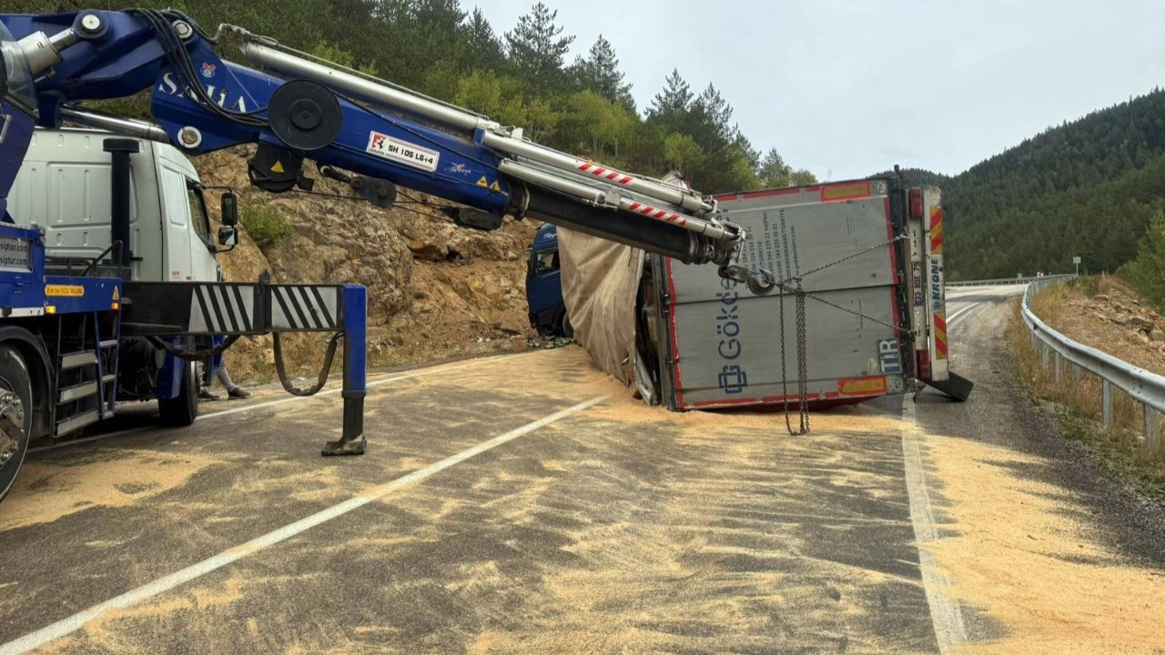 Tersun Dağı'nda Tır Devrildi: Makarnalar Yola Saçıldı