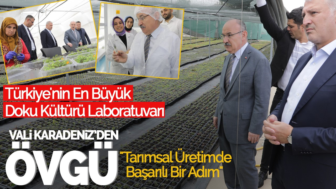 Sakarya Valisi'nden Doku Kültürü Laboratuvarına Övgü: "Tarımsal Üretimde Başarılı Bir Adım"