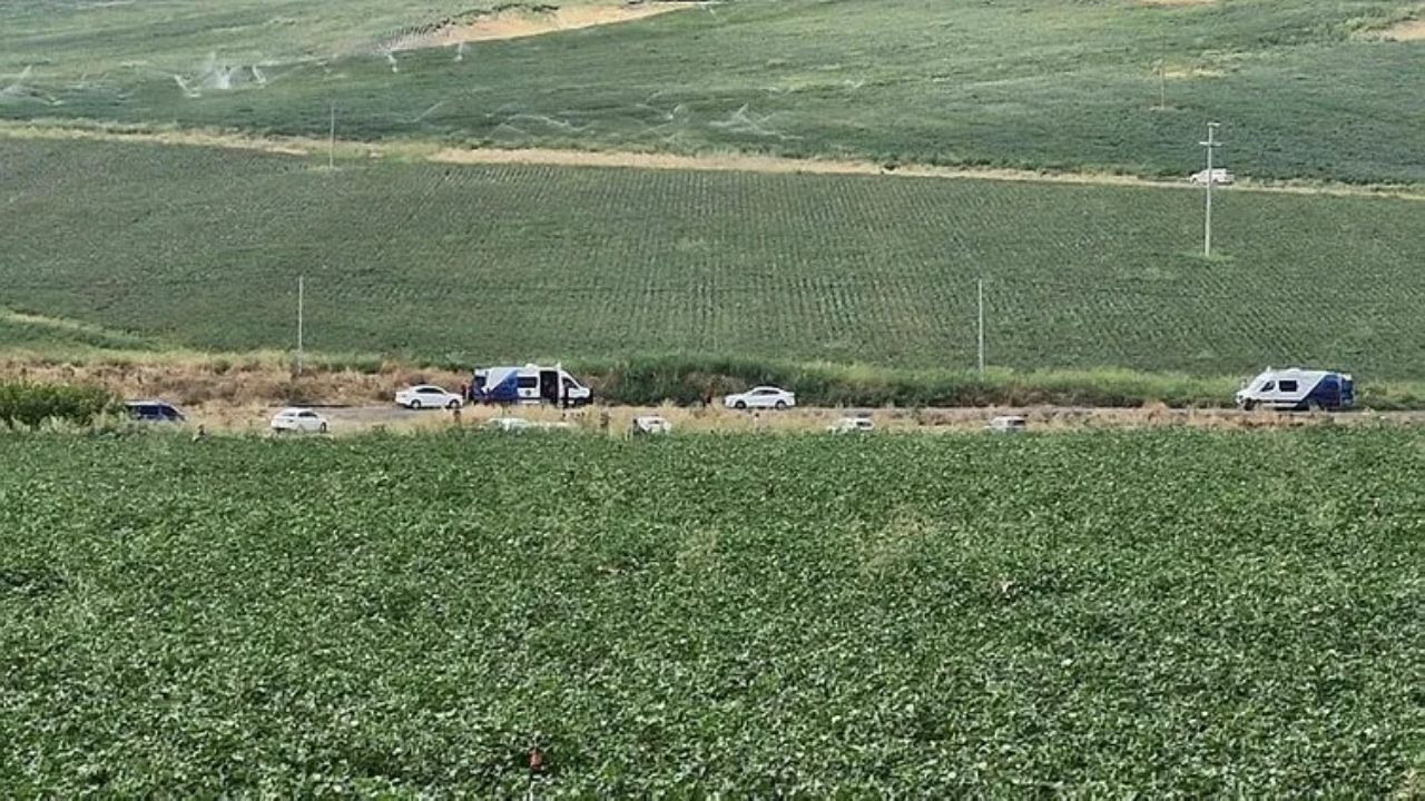 Narin Cinayetinde Önemli Gelişme: Sır Çözüldü! - Sayfa 6