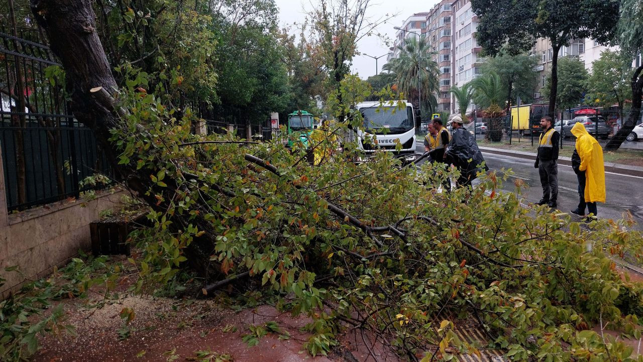 Samsun'da Sağanak Yağış Ağaç Devrildi - Sayfa 6