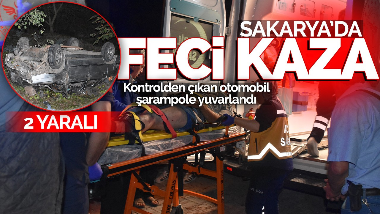 Sakarya'da Feci Kaza: 2 yaralı