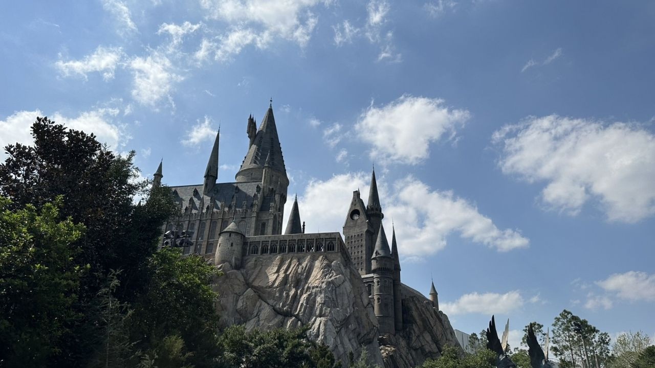 Hogwarts Hakkında En Korkutucu 10 Gerçek - Sayfa 41