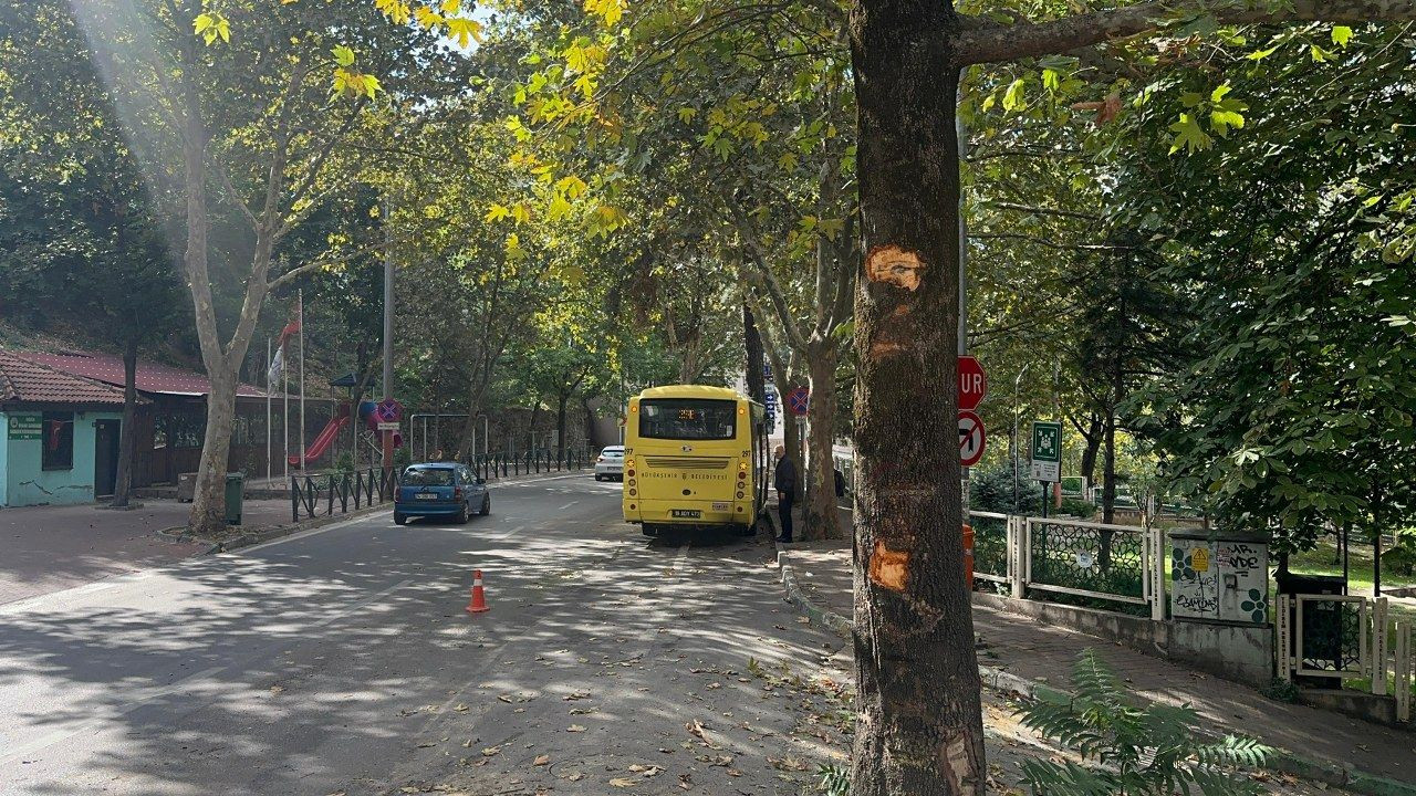 Bursa'da otobüs kazasında can pazarı...Belediye otobüsü ağaca çarptı, yolcu camdan fırladı - Sayfa 8