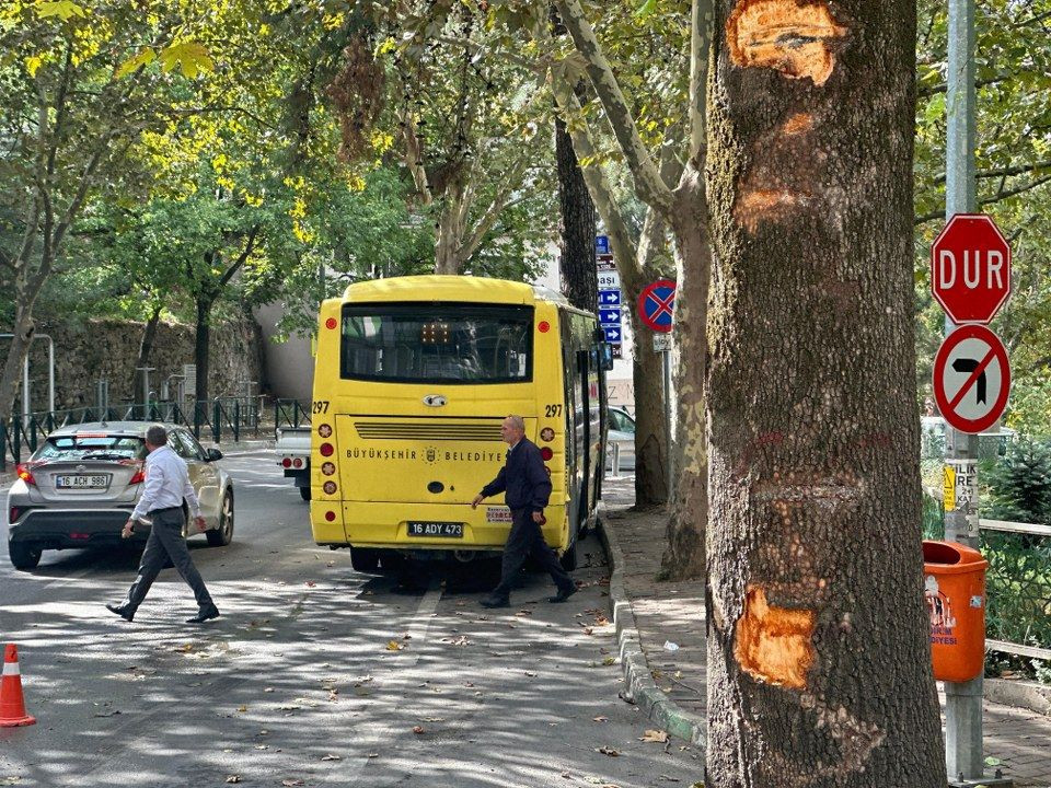 Bursa'da otobüs kazasında can pazarı...Belediye otobüsü ağaca çarptı, yolcu camdan fırladı - Sayfa 7