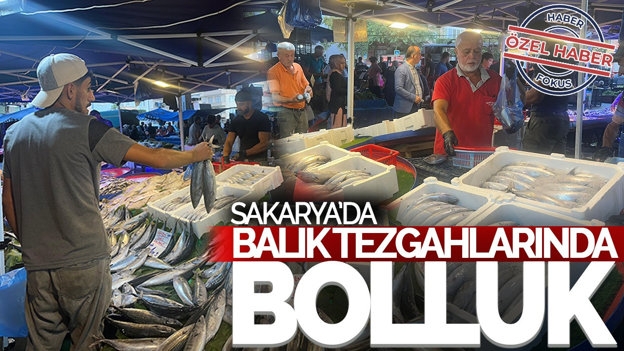 Sakarya’da Balık Tezgahlarında Bolluk