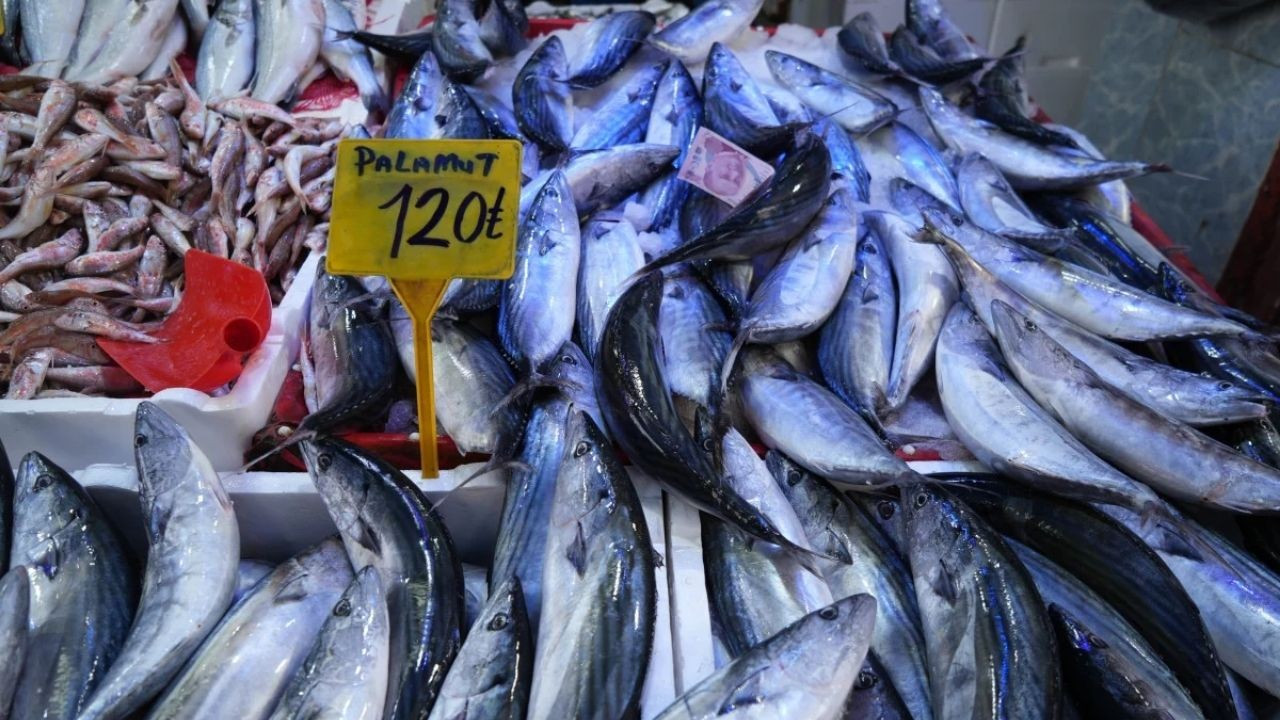 Samsun'da Palamutun Fiyatı Rusya'ya Kaçınca 120 TL'ye Yükseldi