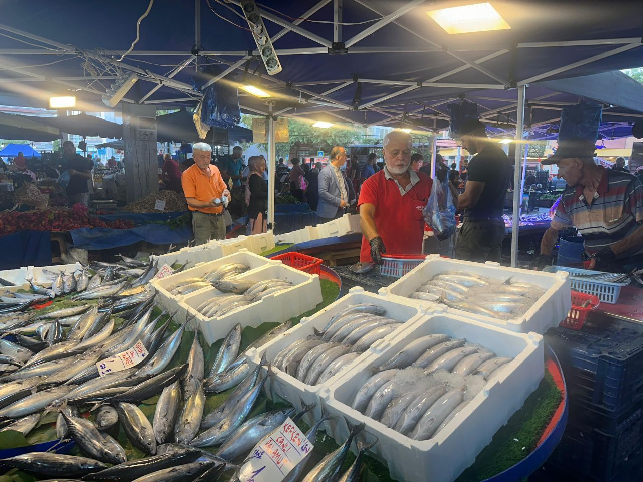 Sakarya’da Balık Tezgahlarında Bolluk - Sayfa 2