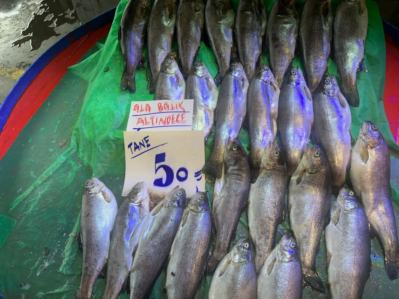 Sakarya’da Balık Tezgahlarında Bolluk - Sayfa 11