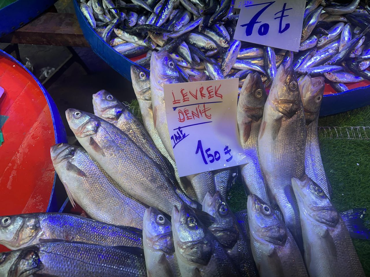 Sakarya’da Balık Tezgahlarında Bolluk - Sayfa 10