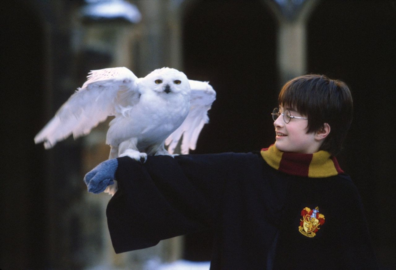 Harry Potter'ın En Farklı İki Ailesi Şaşırtıcı Bir Şekilde Bağlantılı - Sayfa 17