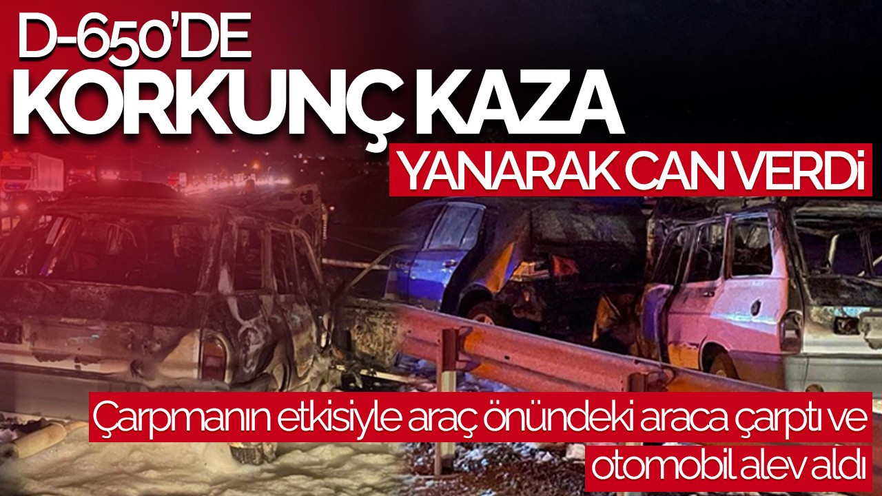 D-650'de Korkunç Kaza: Alev Alan Otomobilde Yanarak Can Verdi