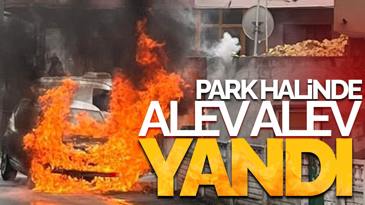 Serdivan'da Park Halindeki Otomobil Alev Alev Yandı!