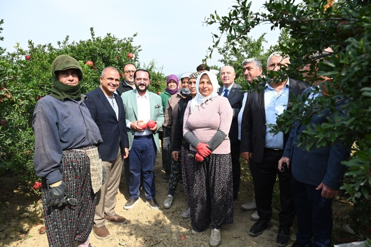 Denizli'de bu yıl 50 bin tonun üzerinde nar hasadı bekleniyor - Sayfa 5