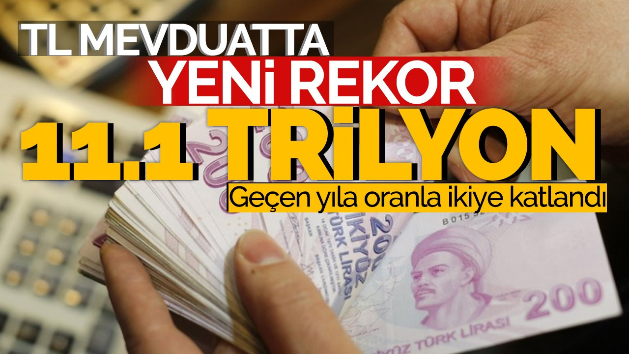 TL mevduatta yeni rekor 11.1 trilyon