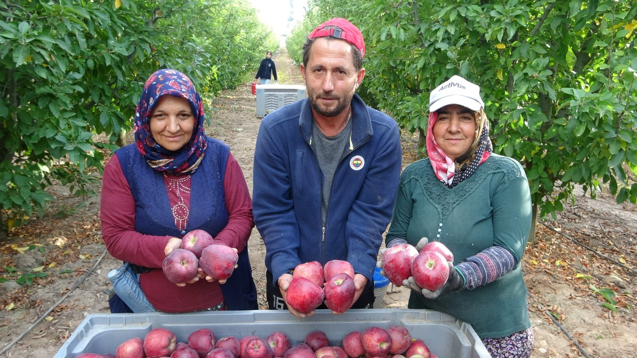 Türkiye’nin Elma Bahçesi Isparta’da Hasat Sezonu Başladı! 1 Milyon Ton Rekolte Bekleniyor