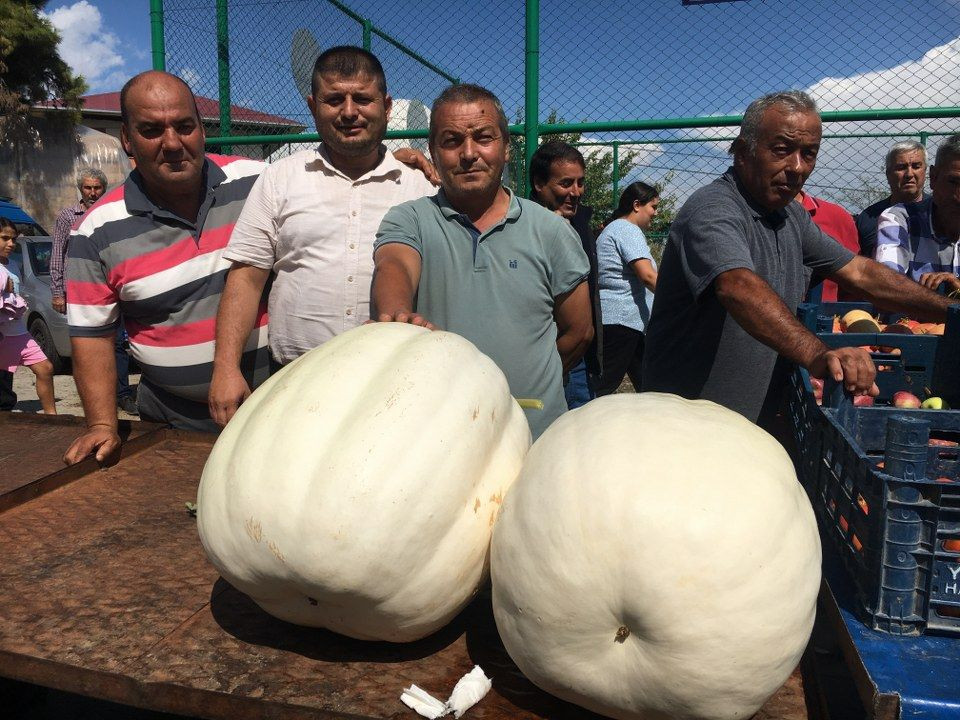 400 yıllık Yörük köyünde gastronomi şenliği - Sayfa 11