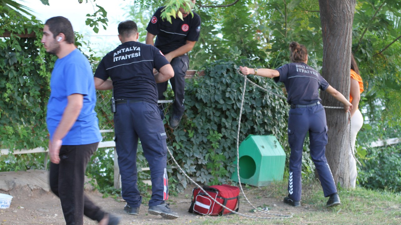 Yamaç Paraşütü İle Ağaçta Asılı Kalan Kişiyi Ekipler Kurtardı