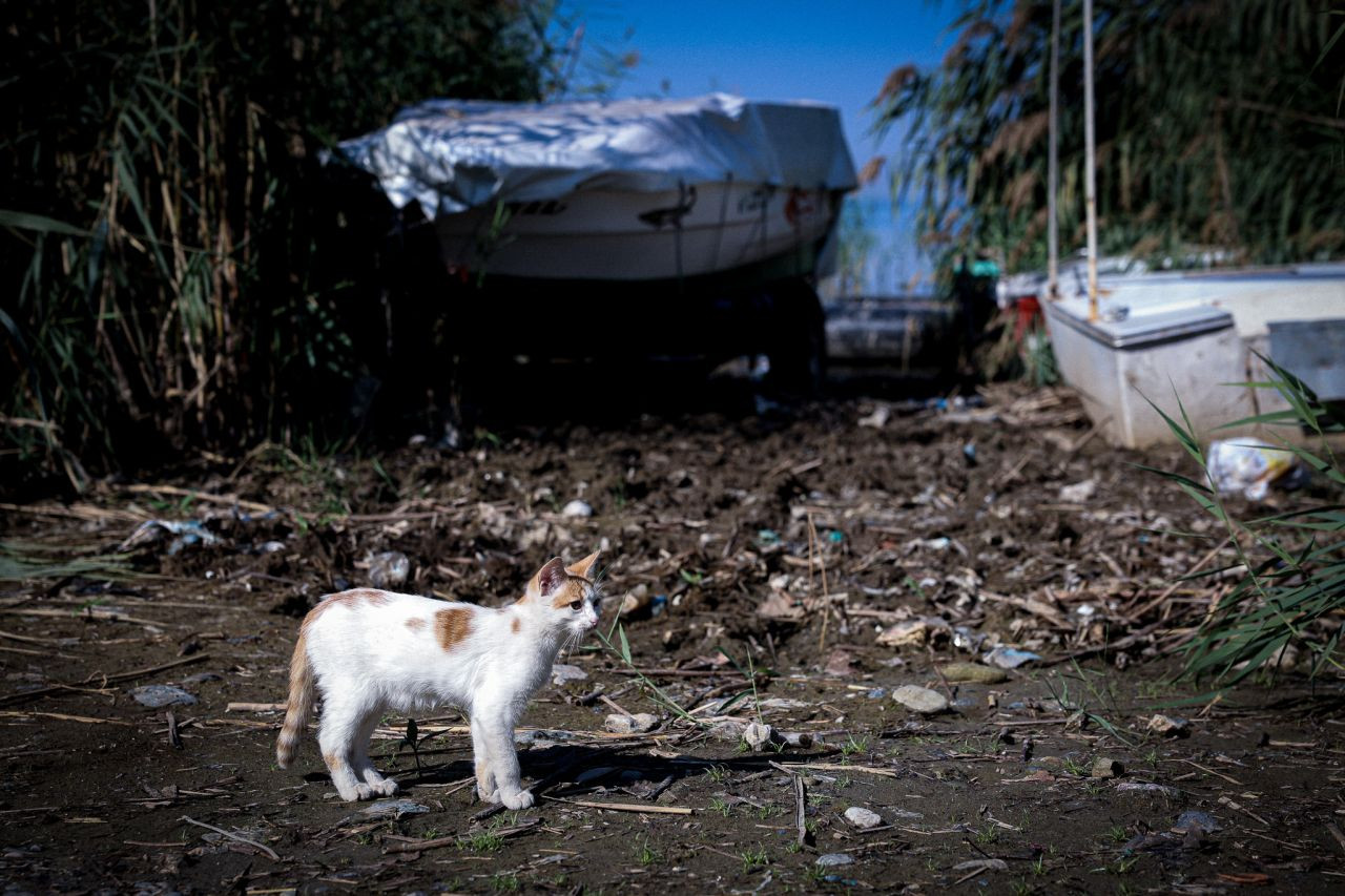 Sakarya'nın su kaynağı kuruyor! Sapanca Gölü’nün son hali fotoğraflandı - Sayfa 7