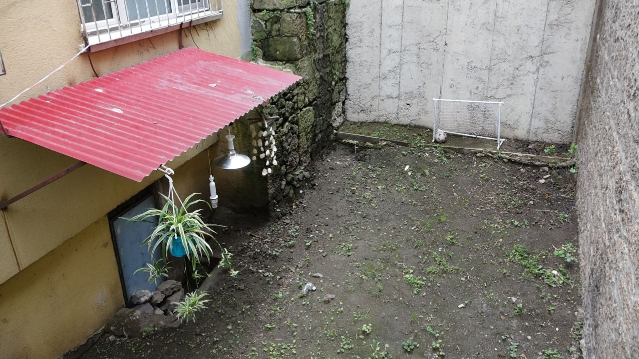 Trabzon'da Bahçesine Sansar Dadanan, 11 Kediyi Telef Etti - Sayfa 1