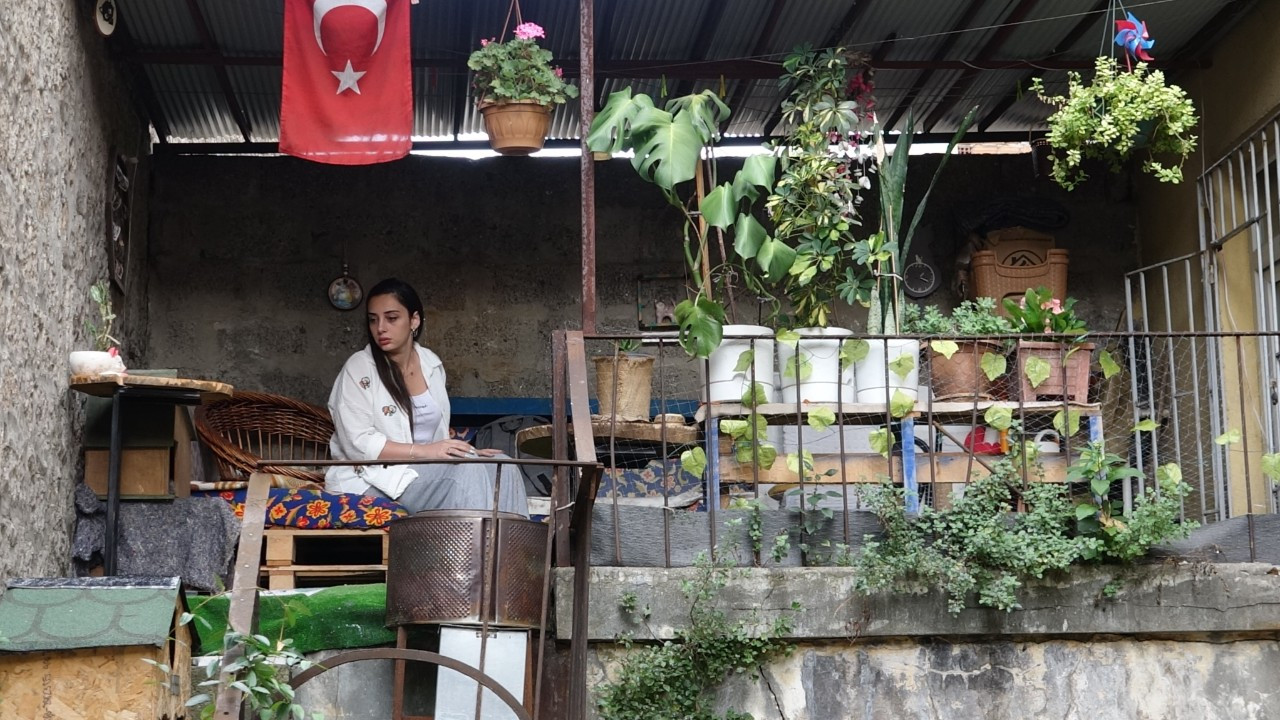 Trabzon'da Bahçesine Sansar Dadanan, 11 Kediyi Telef Etti