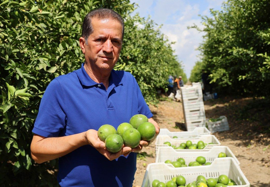 Limon bahçede 8, market ve pazarda 25 lira - Sayfa 7