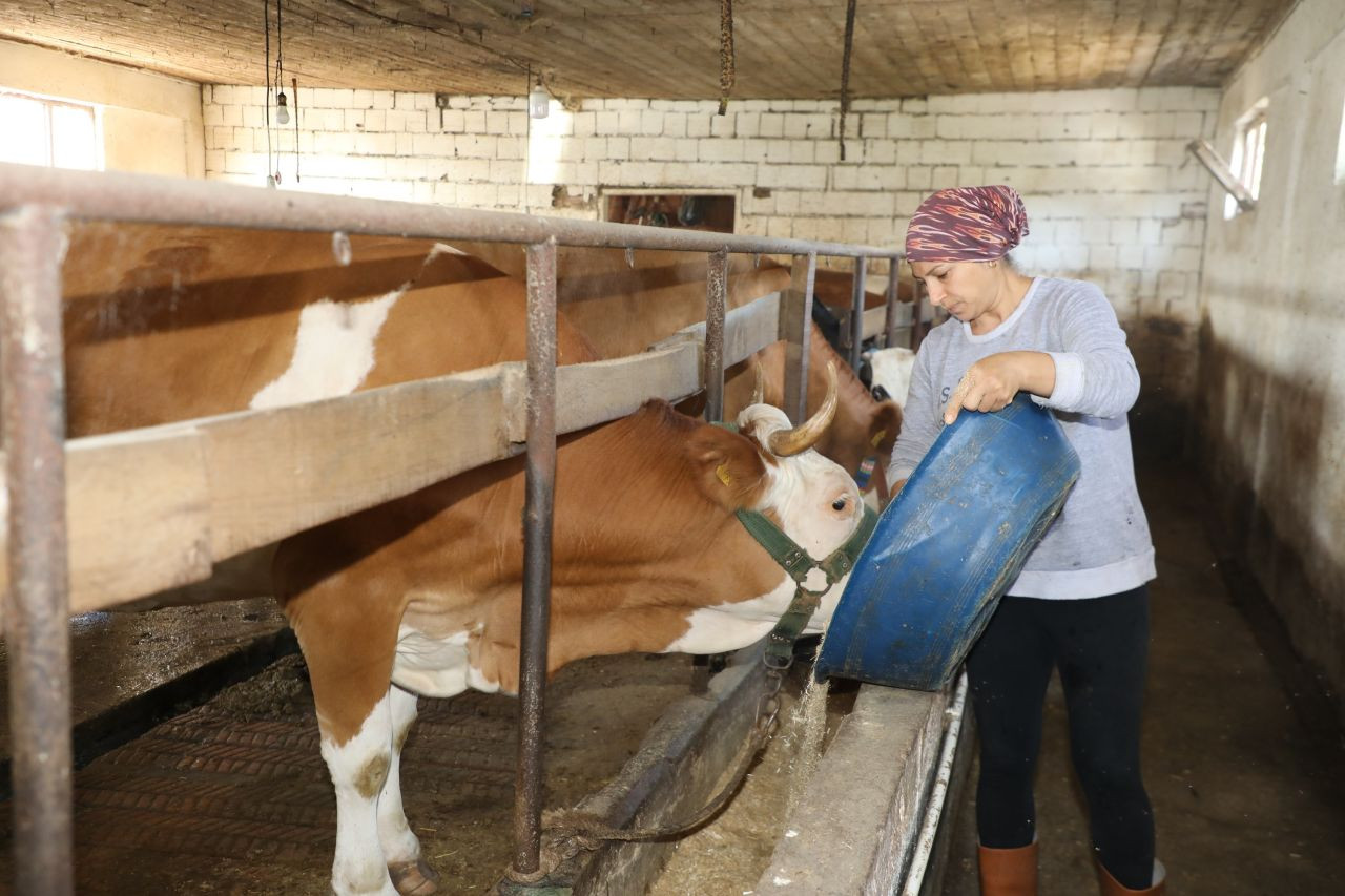 Üreten kadın: Tek başına 20 büyükbaş hayvana bakıyor - Sayfa 2