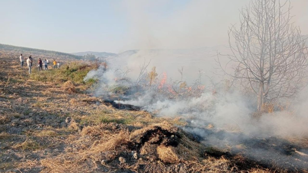 Yenişehir'de Orman Yangınına Havadan ve Karadan Müdahale