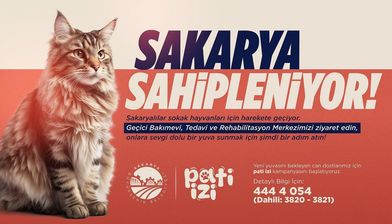 Sokaktaki can dostları Büyükşehir’in ‘Pati İzi’ projesiyle sıcak yuvaya kavuşuyor - Sayfa 11