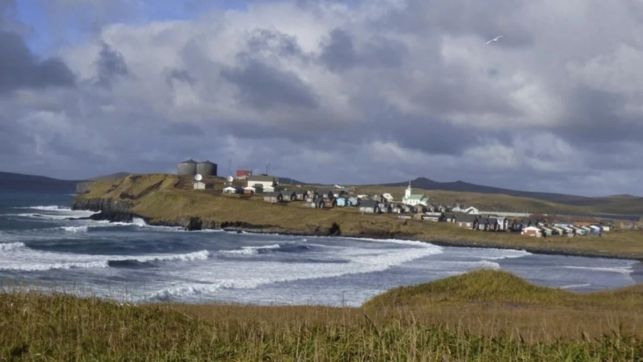 Alaska'da Bir Fare Alarmı! Saint Paul Adası'nda Acil Durum İlan Edildi