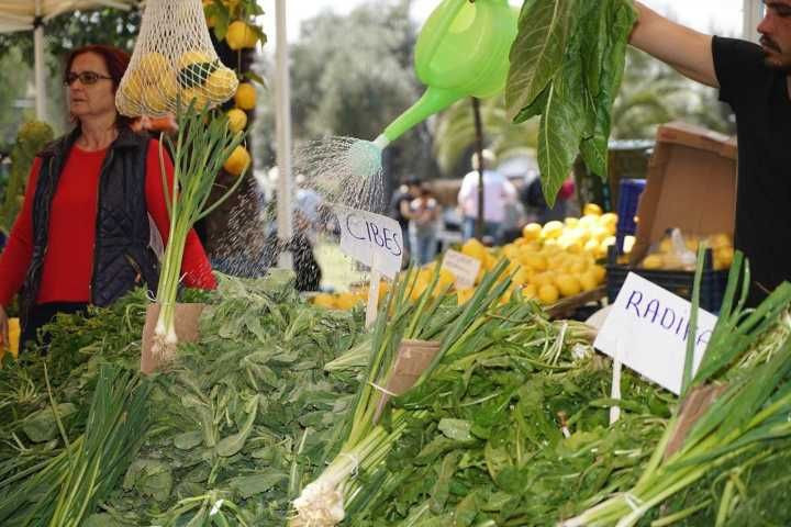 Türkiye’nin Lezzet Dolu Festivalleri: Yemek Tutkunlarının Keşfetmesi Gereken 40 Etkinlik - Sayfa 22