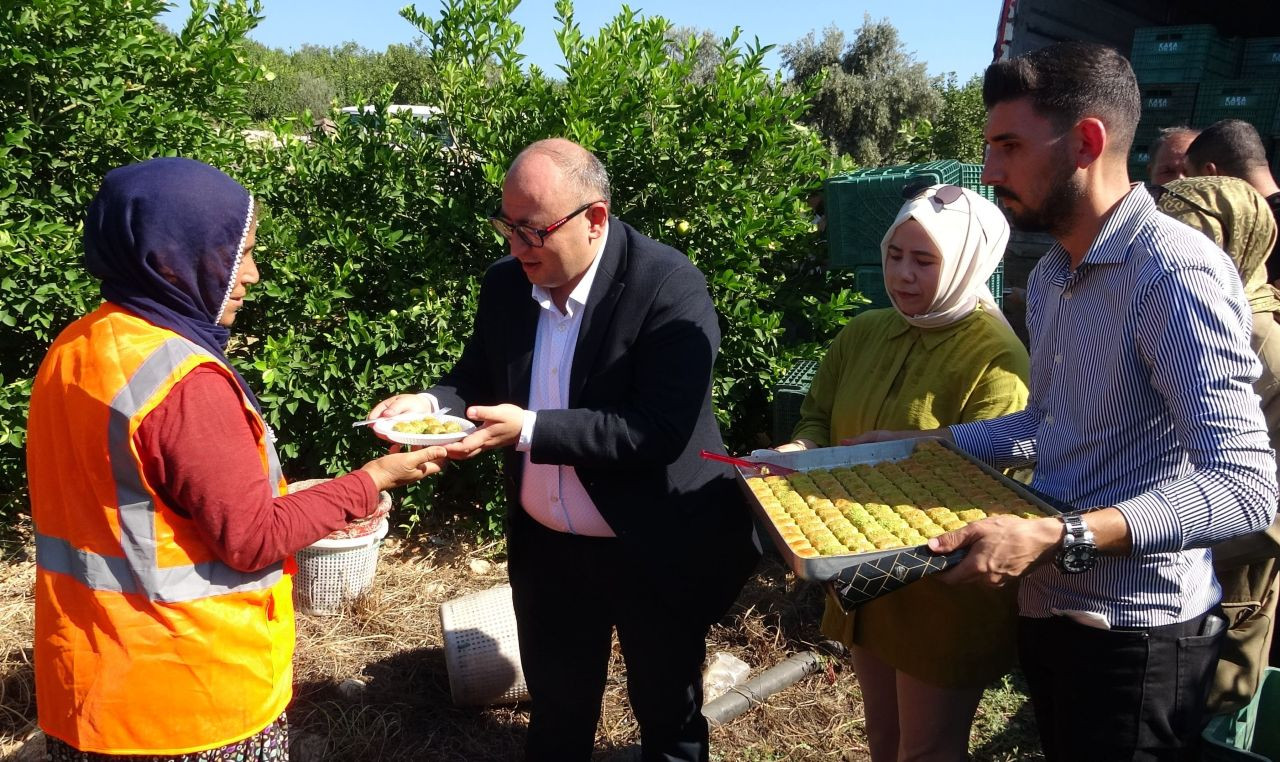 Mersin'de Limon Hasadı Başladı: Sezonda 1 Milyon Tondan Fazla Üretim - Sayfa 5