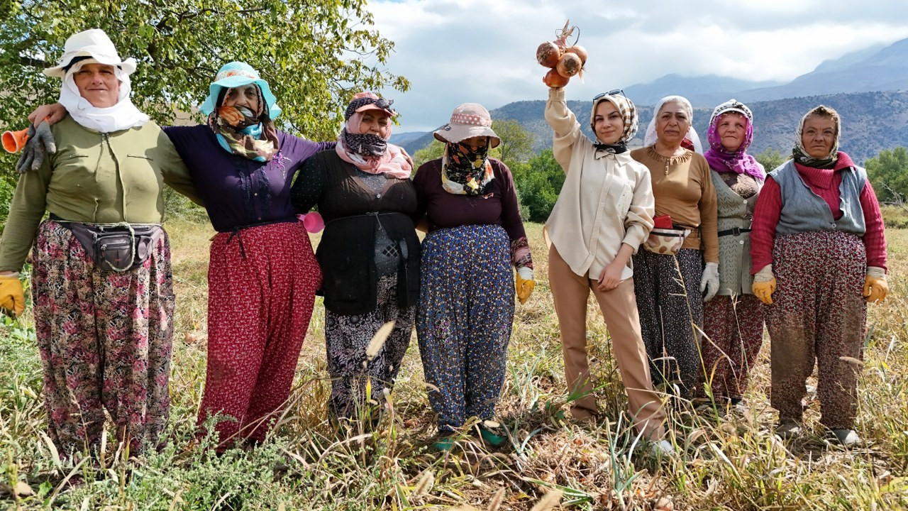 İşçi kadınlar önce hasat ettiler sonra halay çektiler