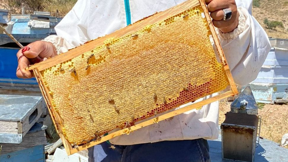 Türkiye’nin Lezzet Dolu Festivalleri: Yemek Tutkunlarının Keşfetmesi Gereken 40 Etkinlik - Sayfa 4