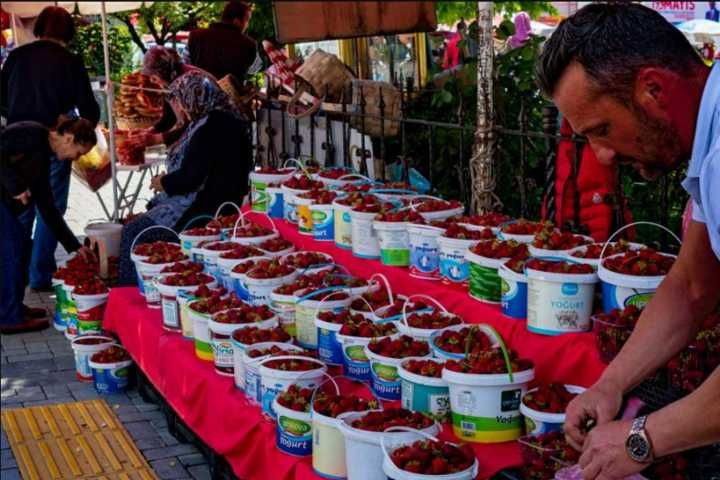 Türkiye’nin Lezzet Dolu Festivalleri: Yemek Tutkunlarının Keşfetmesi Gereken 40 Etkinlik - Sayfa 25