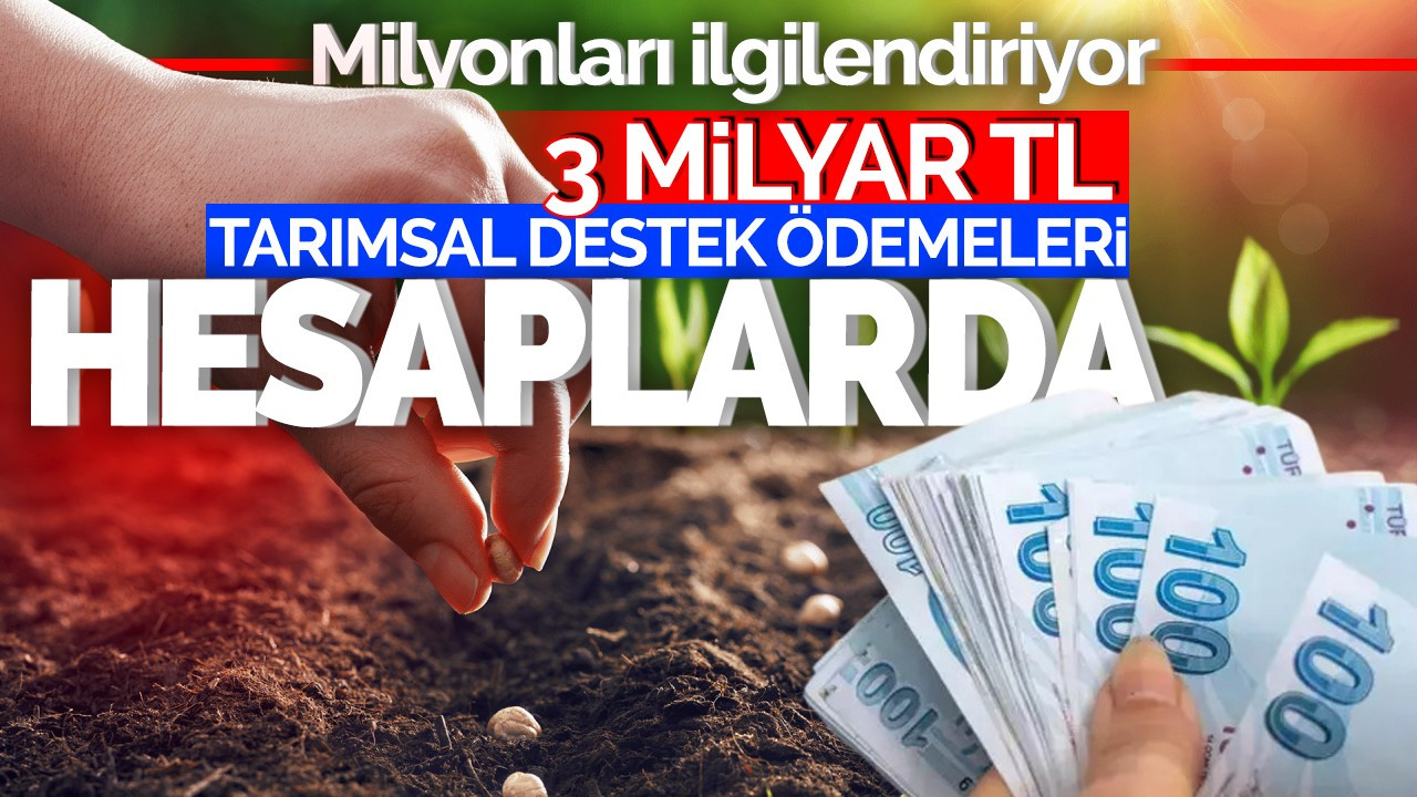 Milyonları ilgilendiriyor! Yaklaşık 3 milyar lira tarımsal destek ödemeleri hesaplarda