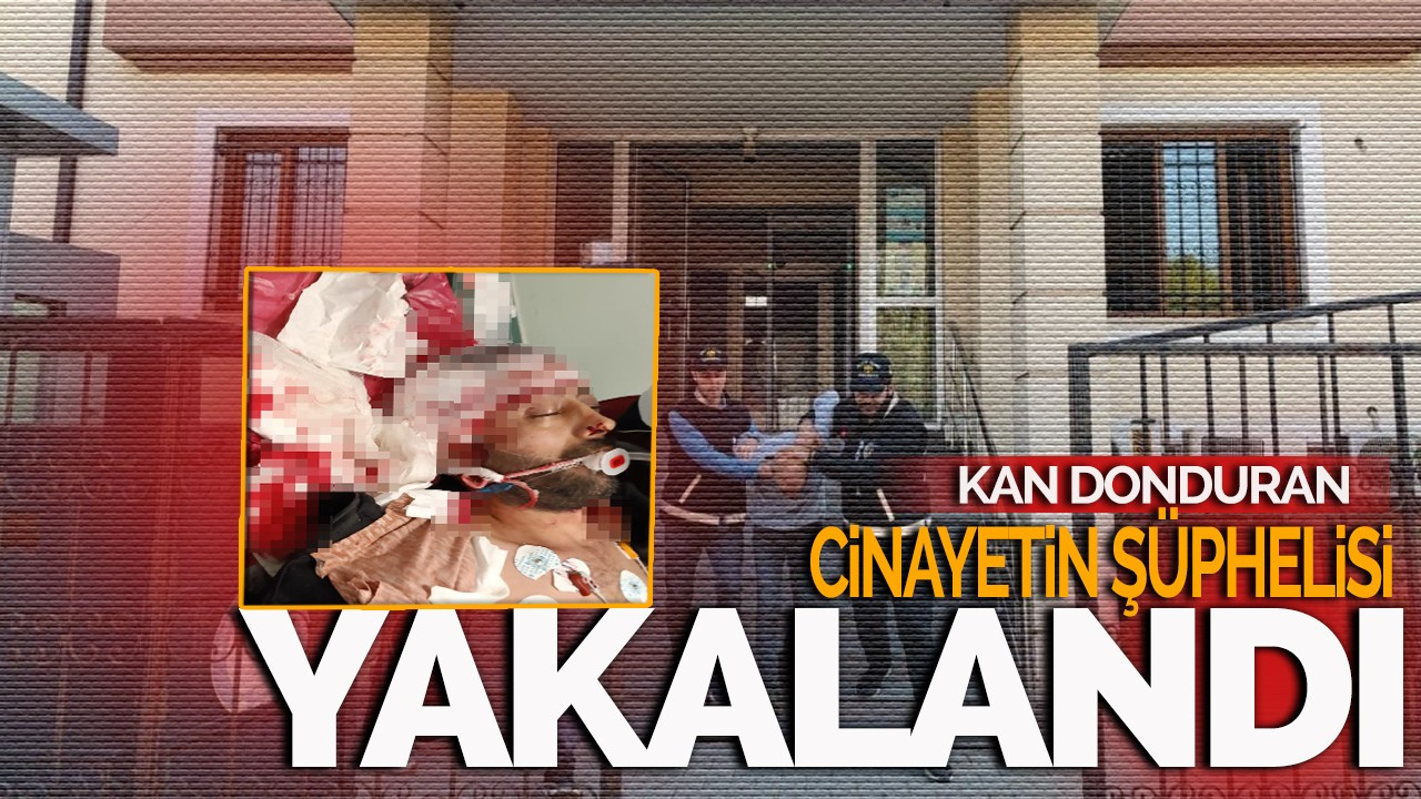 Kan donduran cinayetin şüphelisi yakalandı