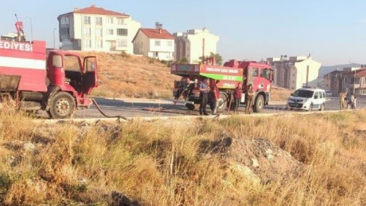 Tavşanlı’da Orman Yakınında Çıkan Yangın Korkuttu