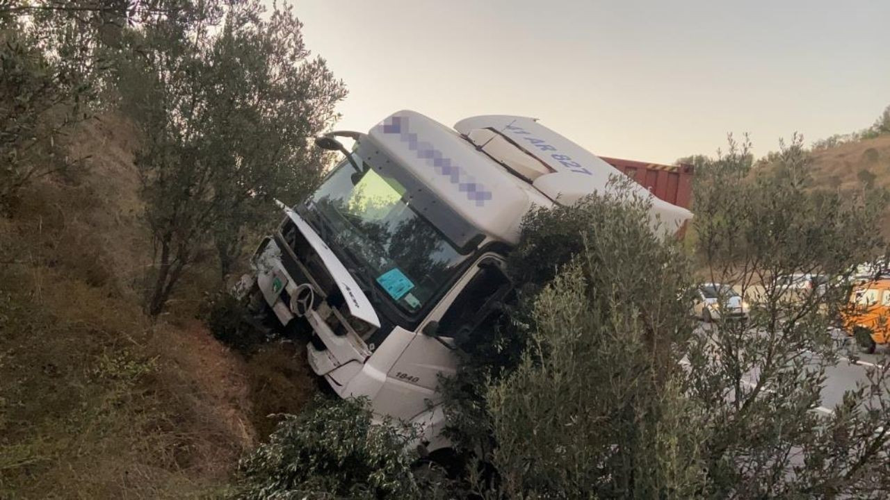 Kontrolden Çıkan Tır Ağaçlık Alana Daldı, Sürücü Yaralandı