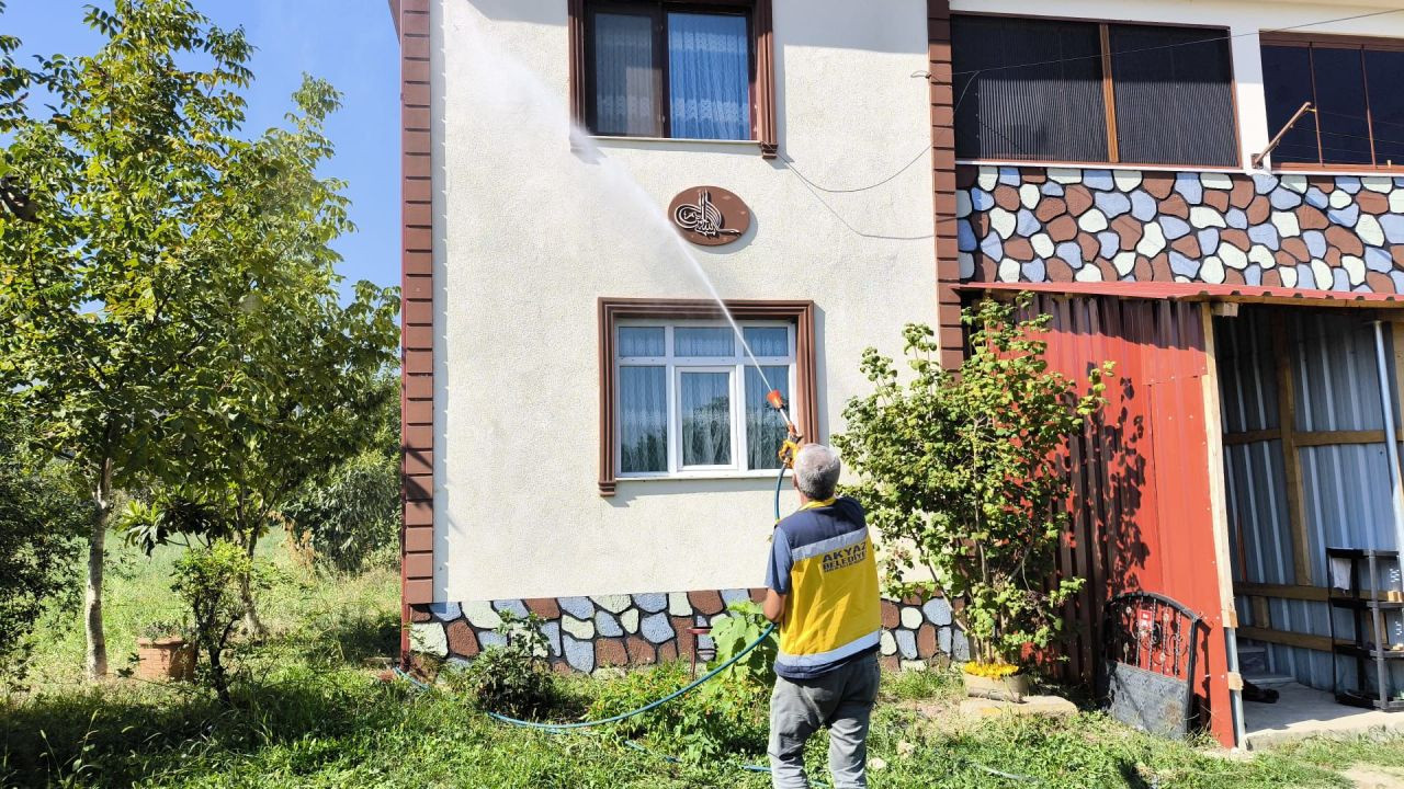 Kahverengi Kokarca Böceği ile mücadele tam gaz sürüyor - Sayfa 6