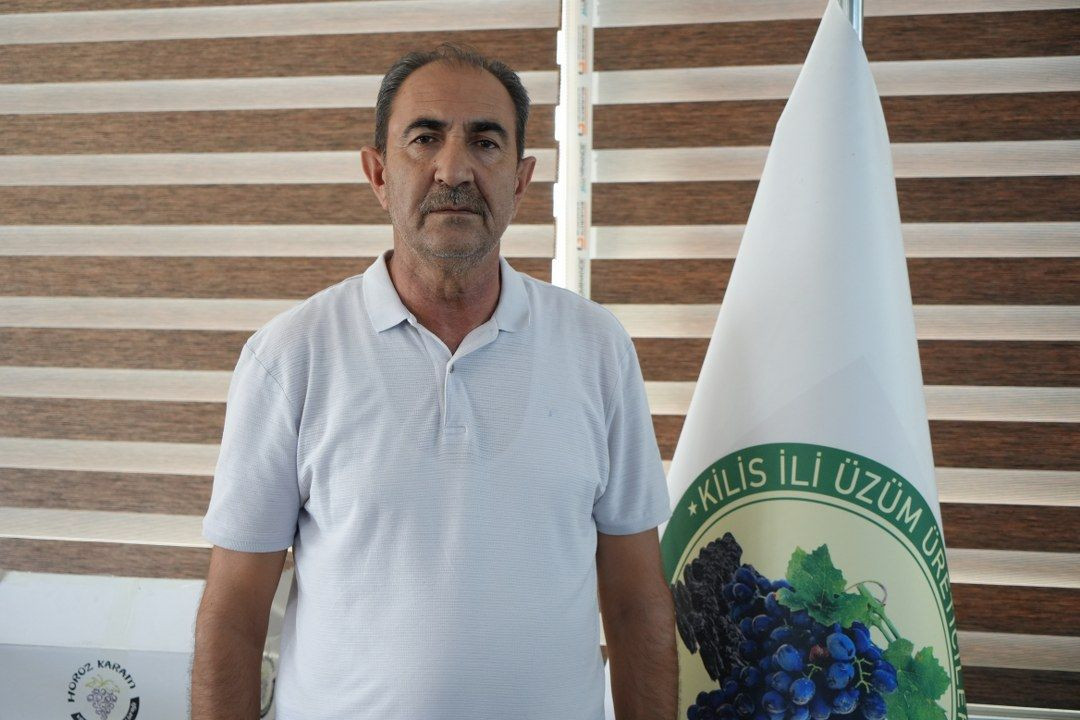 ‘Horoz karası üzümü'nün sofralara yolculuğu başladı - Sayfa 2