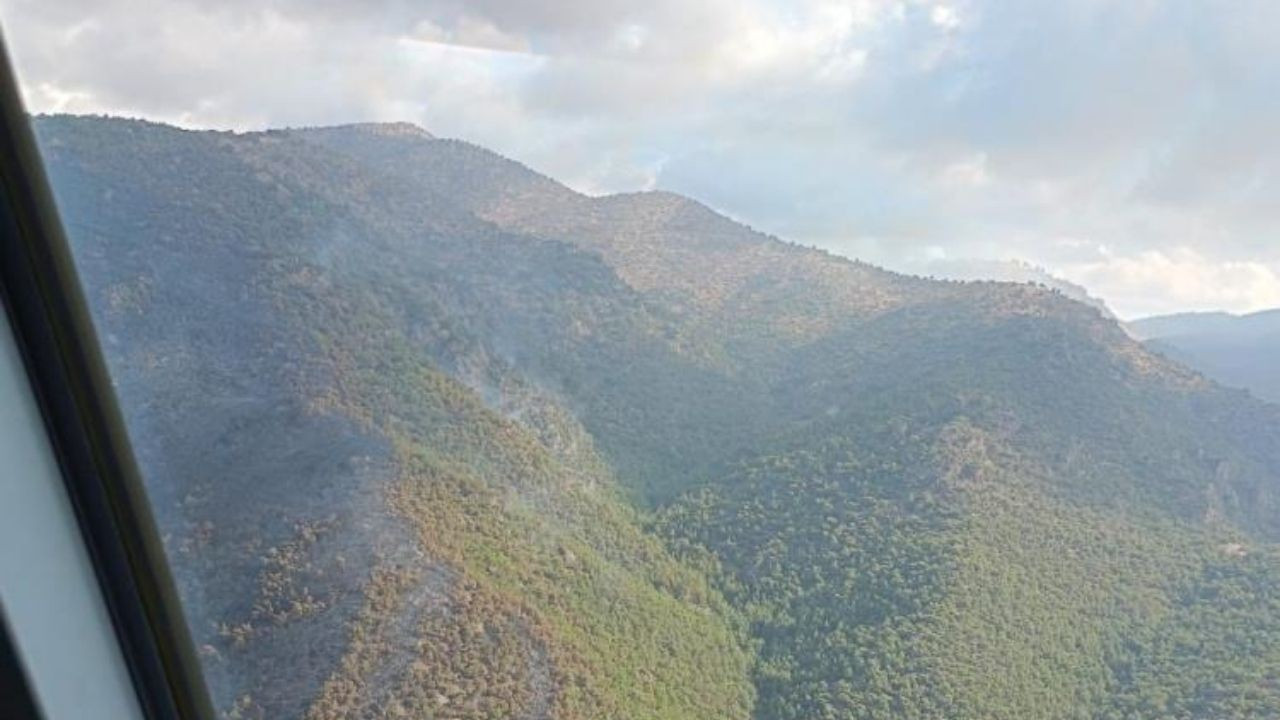 Manisa Alaşehir’deki Orman Yangını Kontrol Altına Alındı