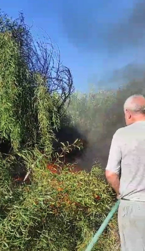 Bahçede Yakılan Ateş Yangına Neden Oldu: Golf Arabası Küle Döndü - Sayfa 9