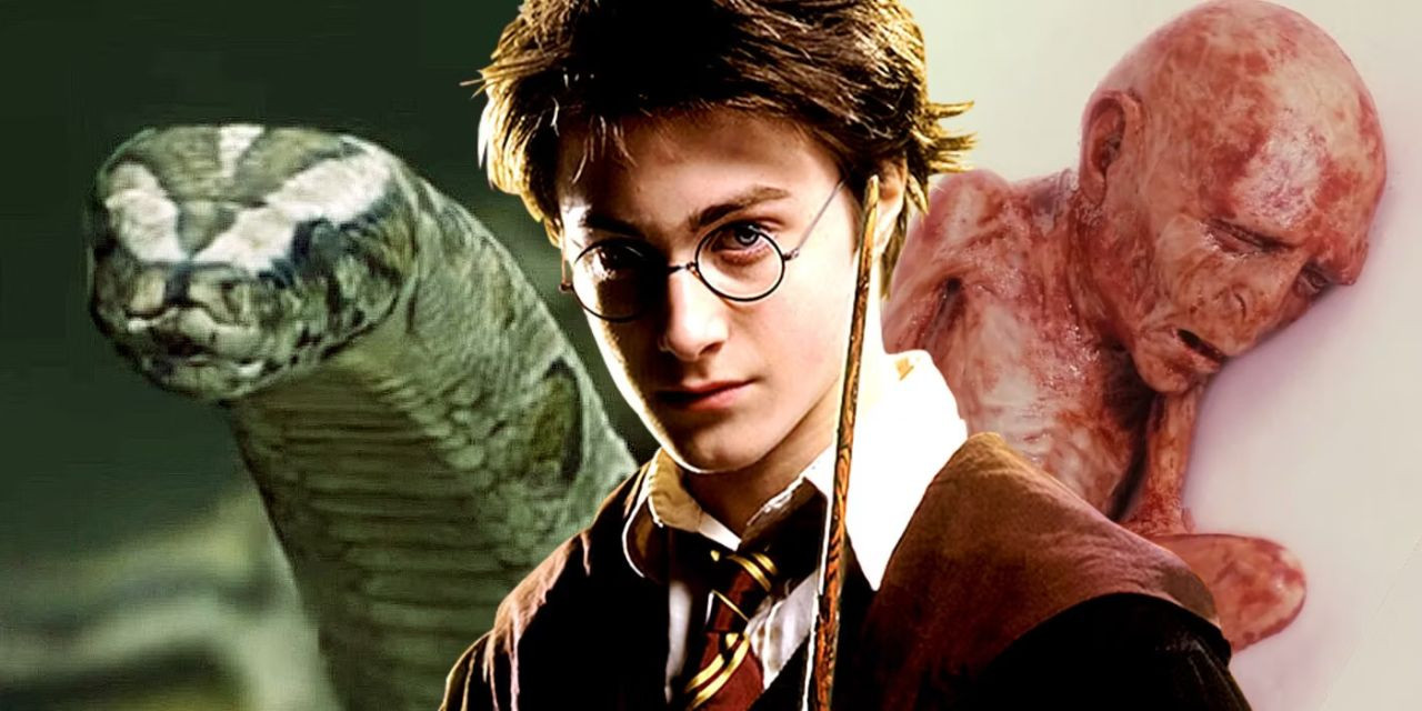 Harry Potter'daki Hortkuluklar Hakkında En Garip 10 Detay - Sayfa 14