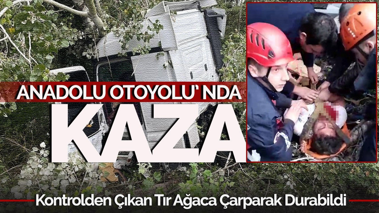 Anadolu Otoyolu'nda kontrolden çıkan tır, ağaca çarparak durabildi: 1 yaralı