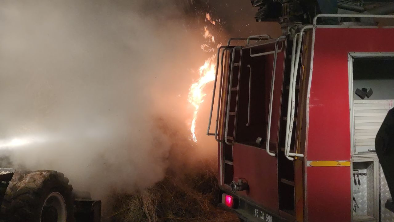 Van'da 5 bin bağ ot yanarak kül oldu - Sayfa 7